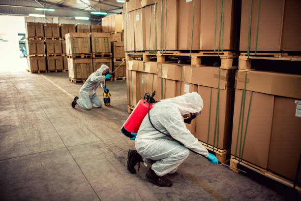 Best Ant Control Services  in Homestead Meadows South, TX