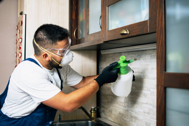 Best Pest Control Near Me in Homestead Meadows South, TX
