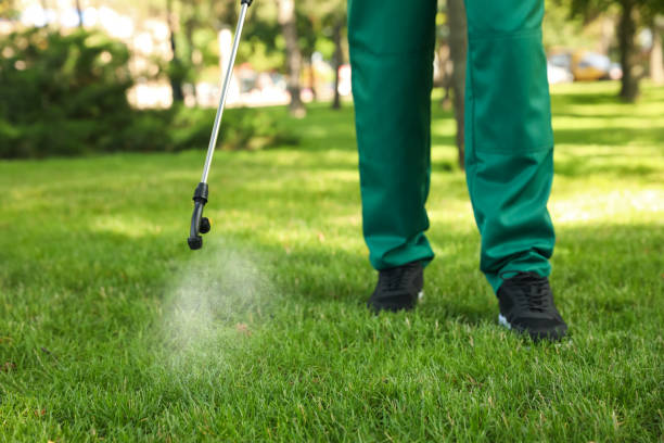Best Wasp Removal Services  in Homestead Meadows South, TX