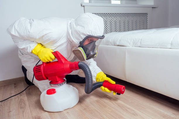Trusted Homestead Meadows South, TX Pest Control Experts