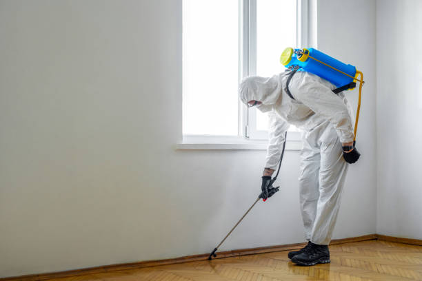 Best Exterminator Services  in Homestead Meadows South, TX