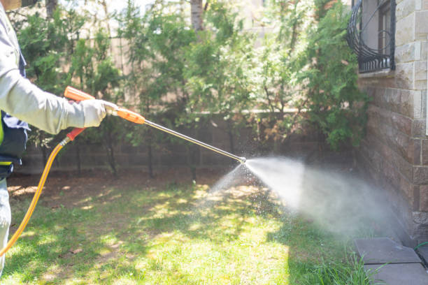 Best Spider Control Near Me  in Homestead Meadows South, TX